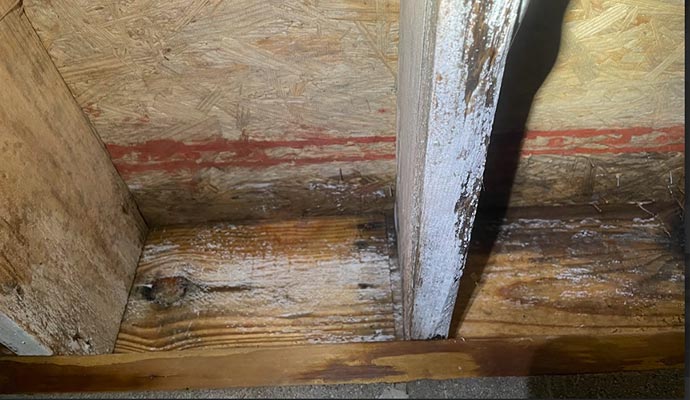 Soda blasting mold Cleanup