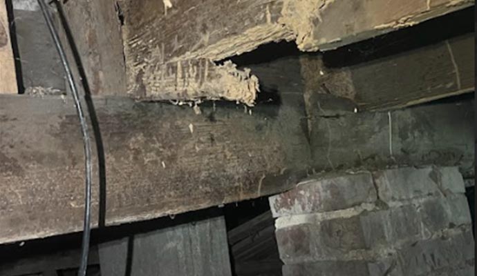 Structurally damaged crawl space