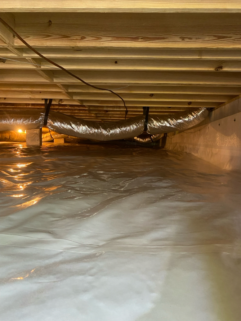 Water Damage and Joist Repair