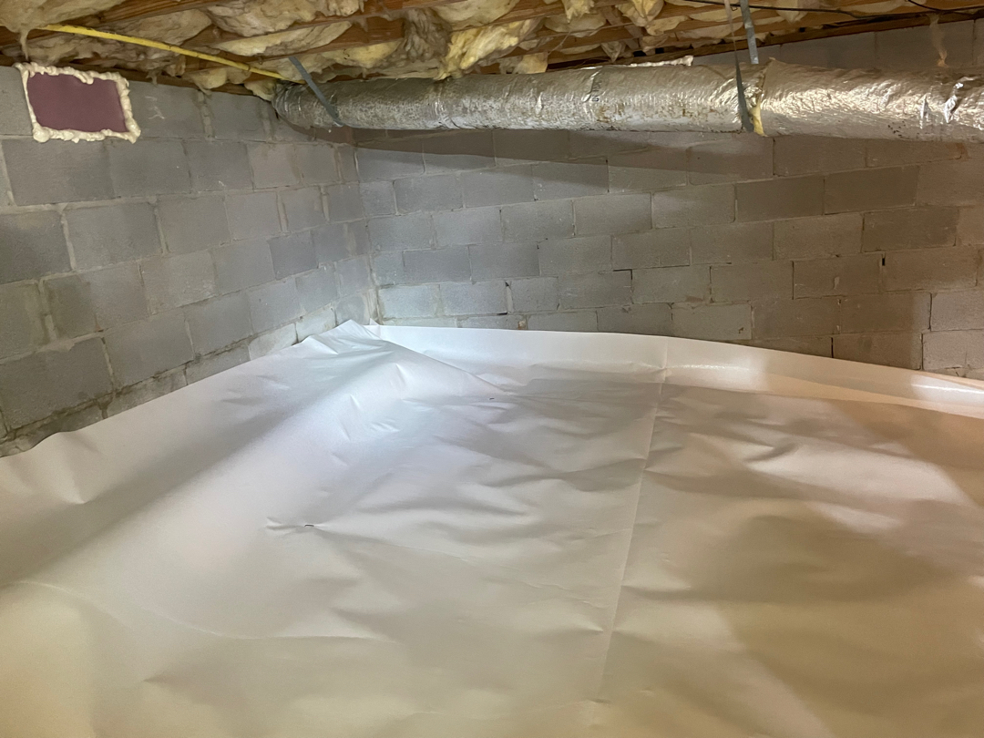 Musty Smells From High Humidity Problem