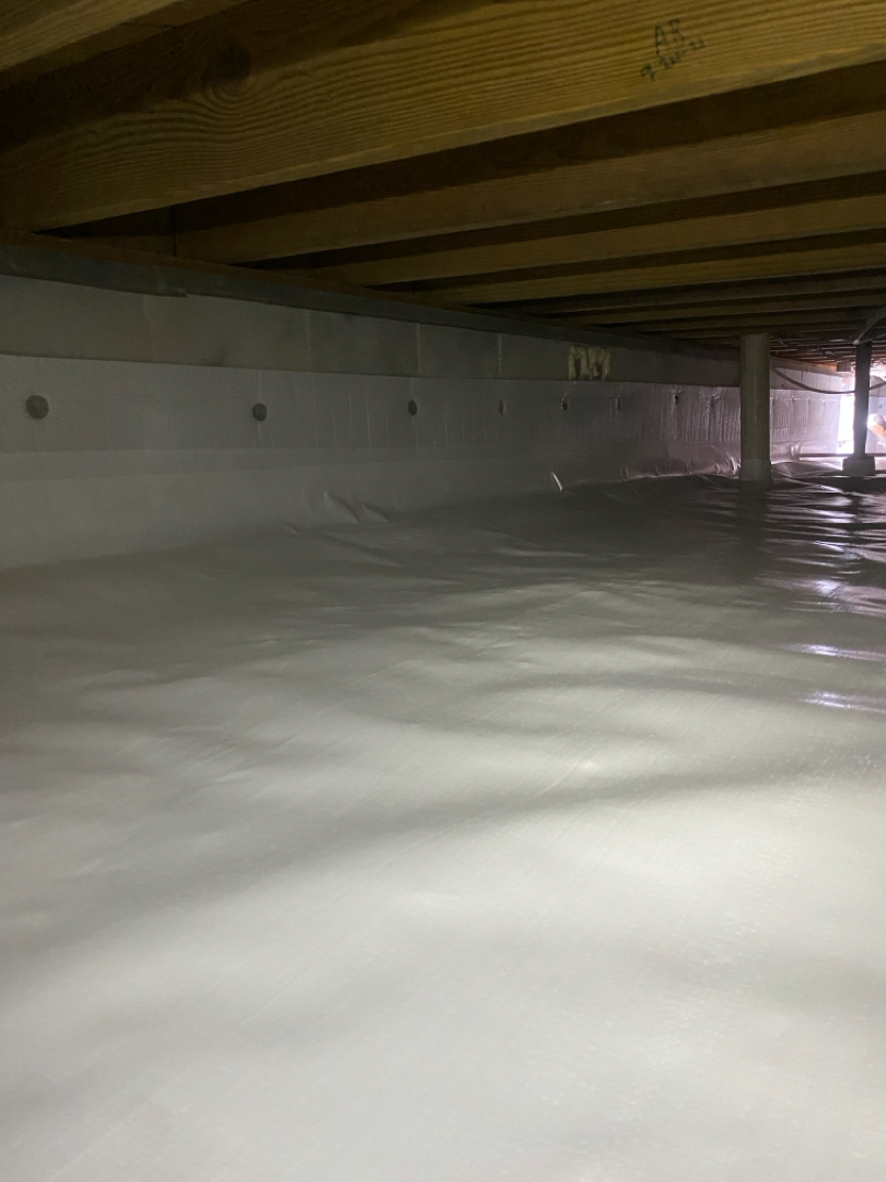 Mold Removal and Encapsulation Service