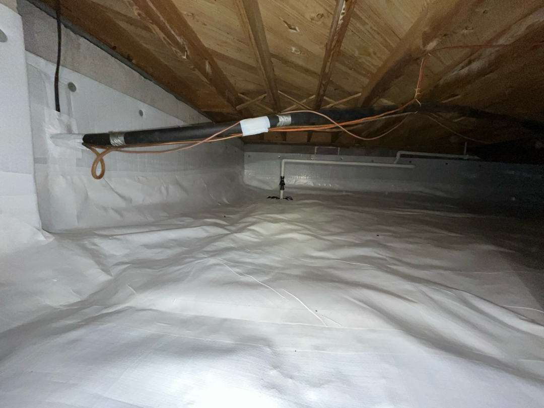 Fungal Growth Removal and Moisture Solution