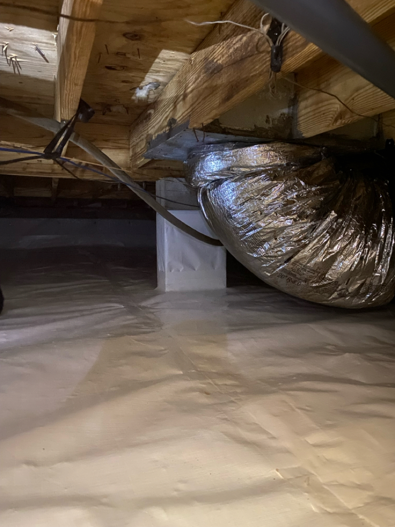 Full Encapsulation Madison AL Heartstrong